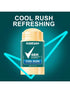 SHEIN Men Original Antiperspirant Deodorant Pack 48-Hour Sweat & Odor Protection Antiperspirant