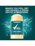 SHEIN Men Original Antiperspirant Deodorant Pack 48-Hour Sweat & Odor Protection Antiperspirant