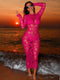 SHEIN Swim SXY Spring/Summer New Knitted Round Neck Long Sleeve Bodycon Dress, Sexy Fitted Mesh Hollow Out Dress, Elegant Women Dress
