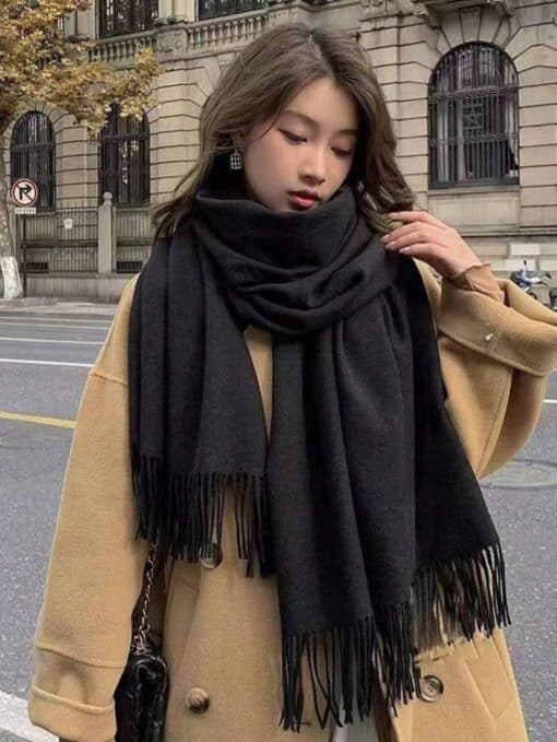 SHEIN 1pc Women's Fringe Faux Cashmere Scarf (Black)