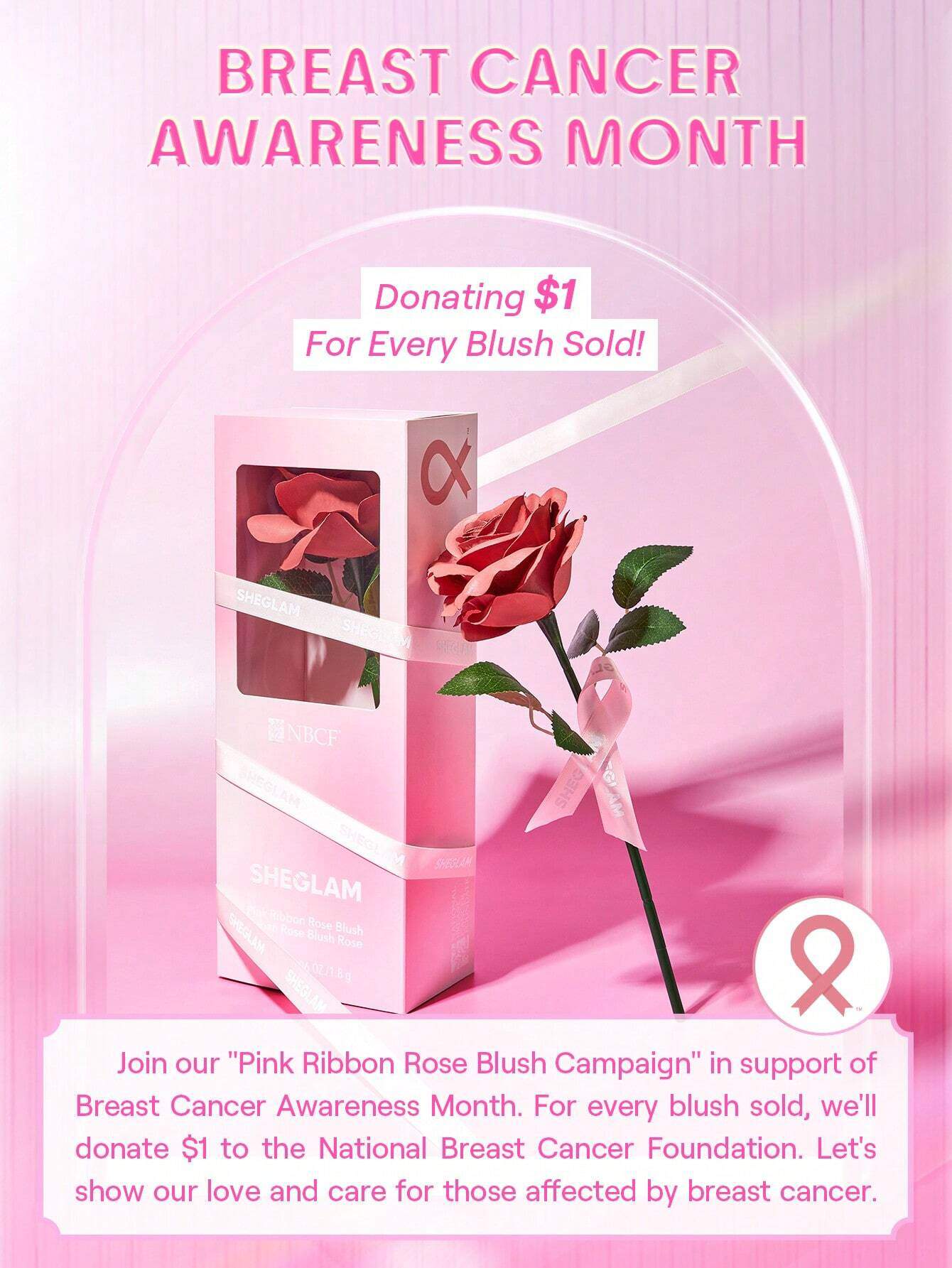 SHEGLAM Pink Ribbon Rose Blush Valentine'S Day Decor Love Gift Winter Y2K Makeup - الصورة 3